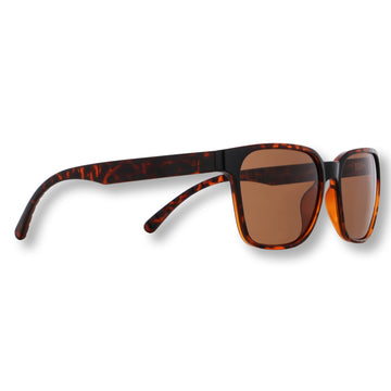 Shiny Havana Frame | Brown Lens